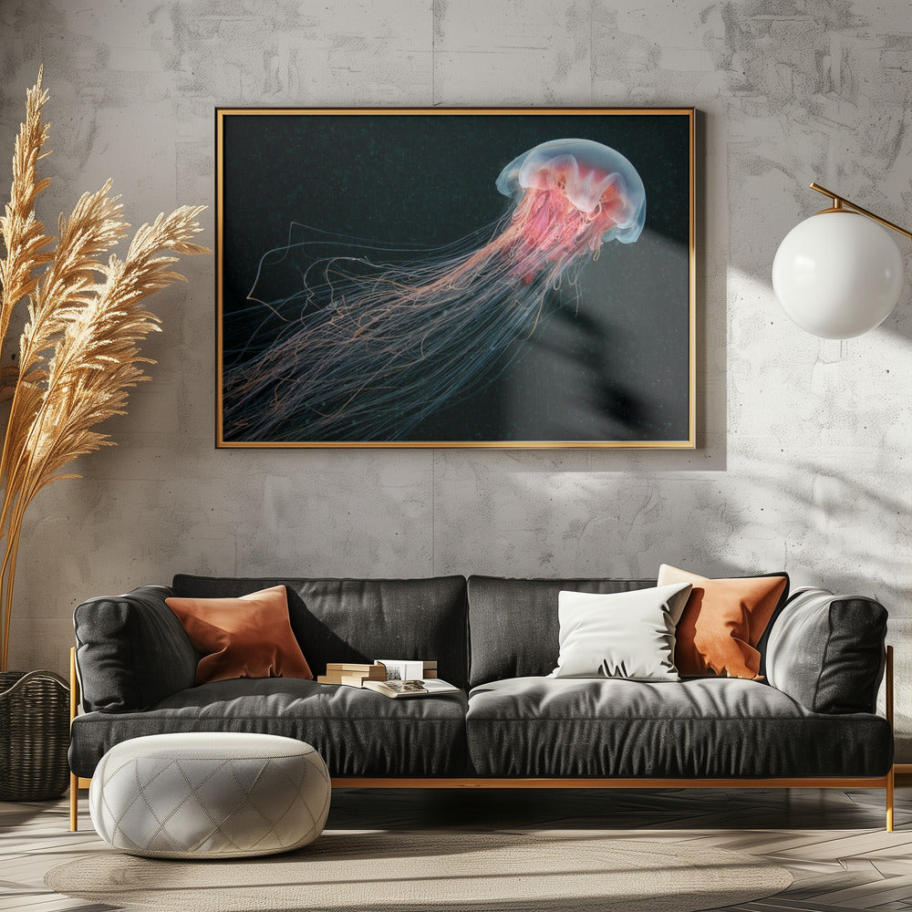Longtail | Canvas