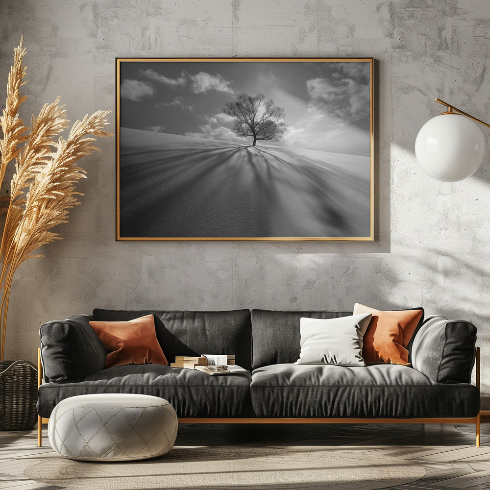 Tree Shadow | Canvas