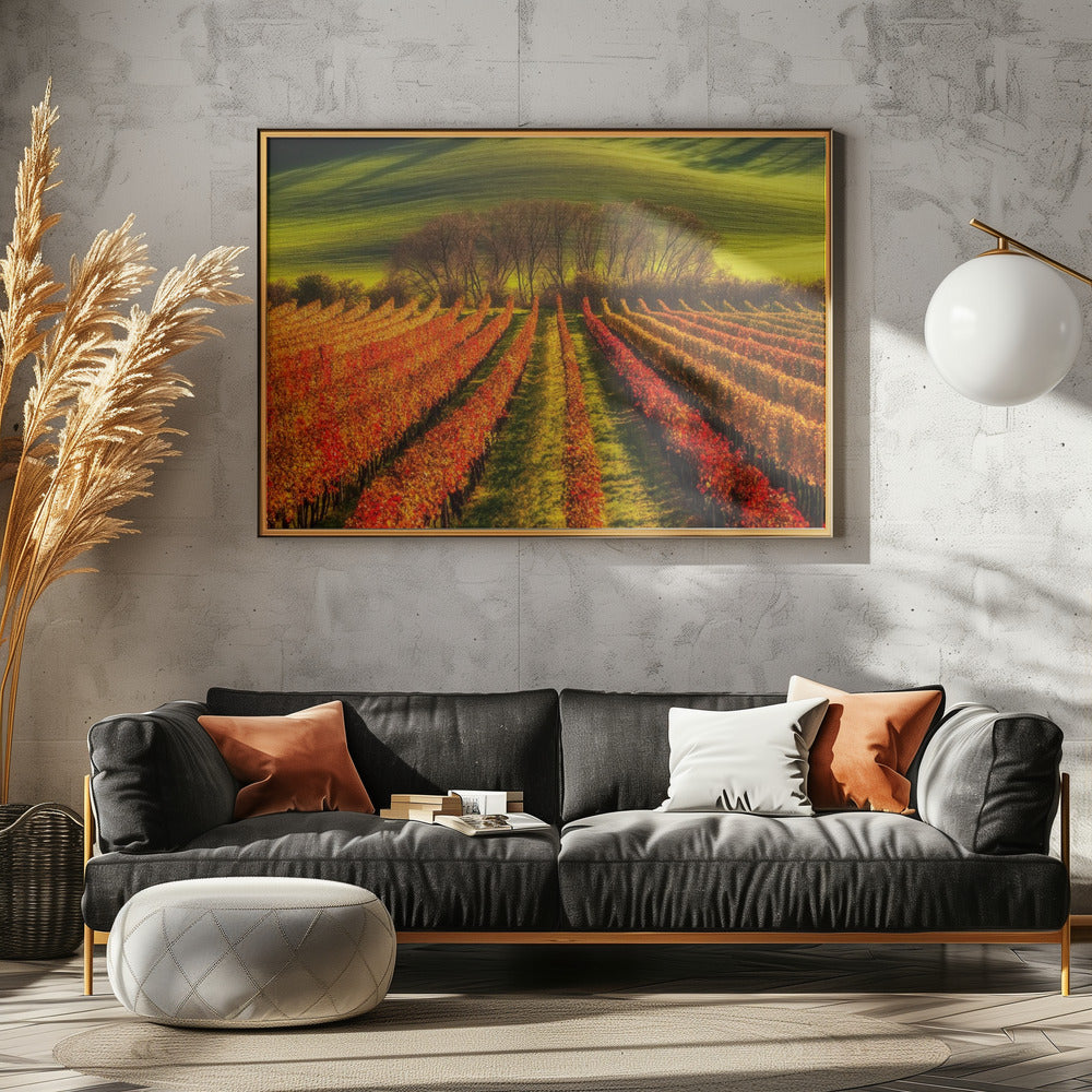 vine-growing | Poster