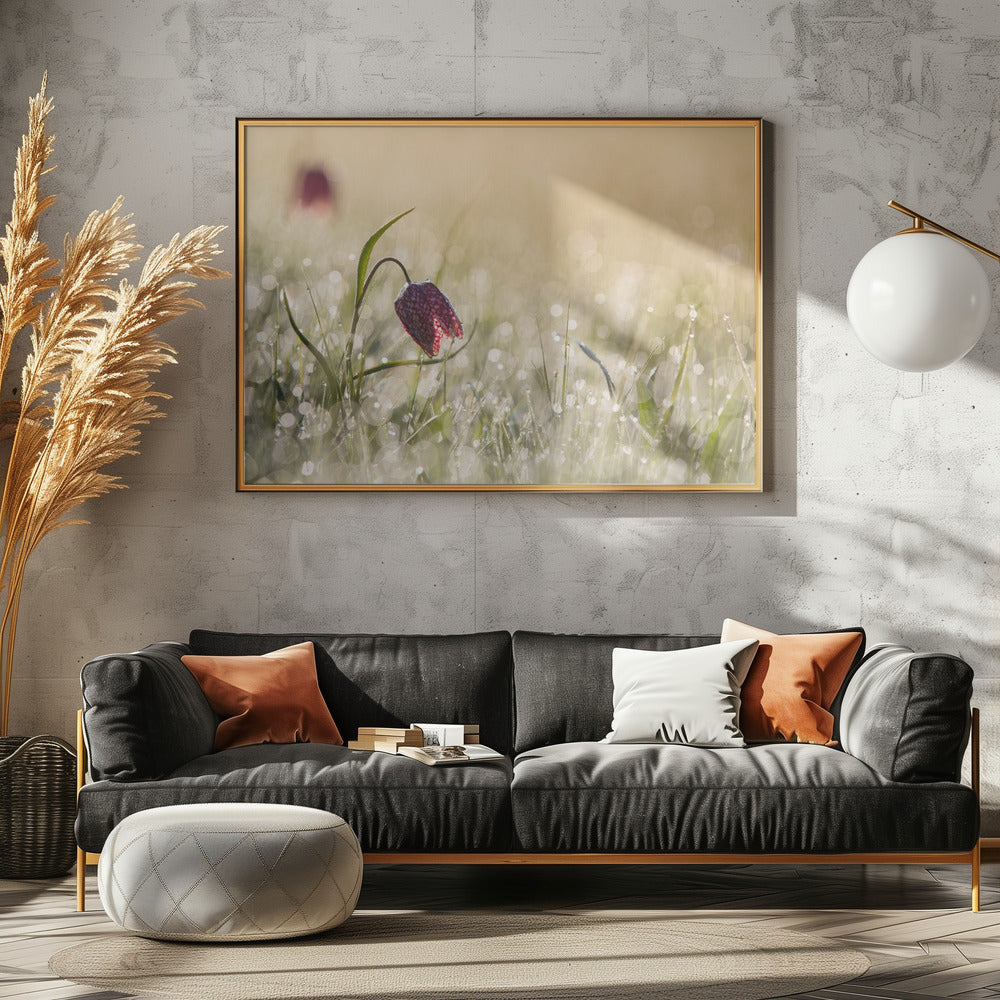 Morningdew | Canvas