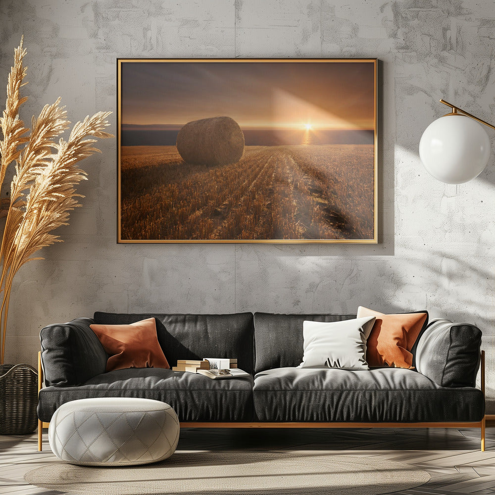 Gold Harvest | Poster