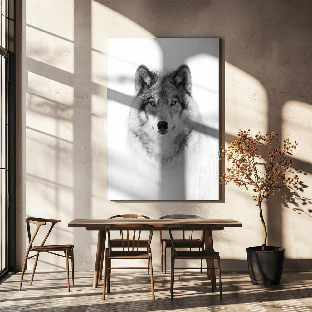 Portrait of a Timber Wolf | Canvas