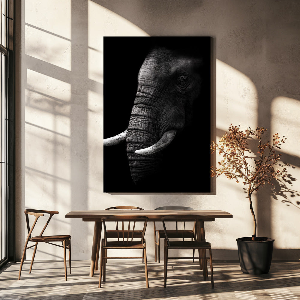 Portrait | Canvas