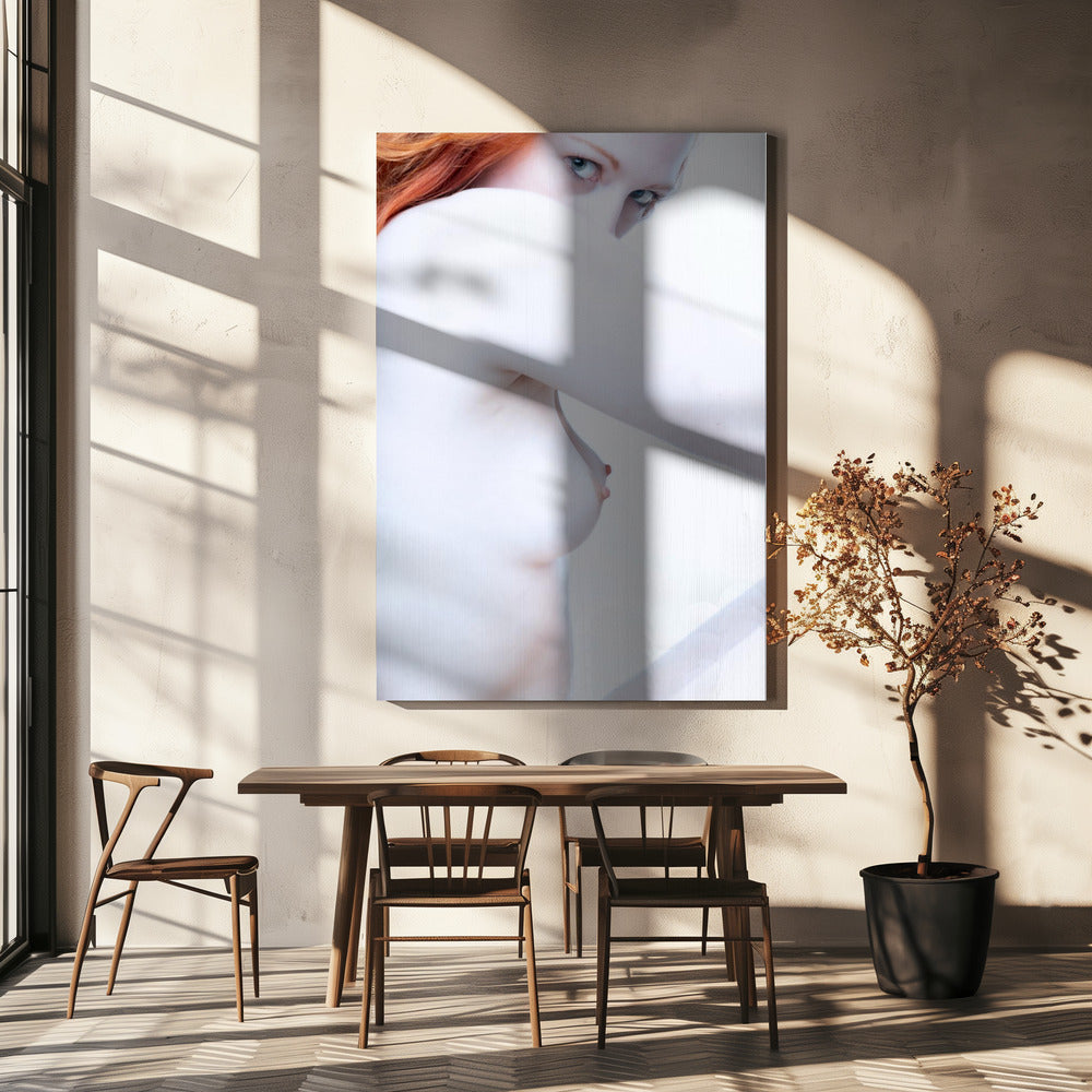Shapes and Curves 1 | Canvas