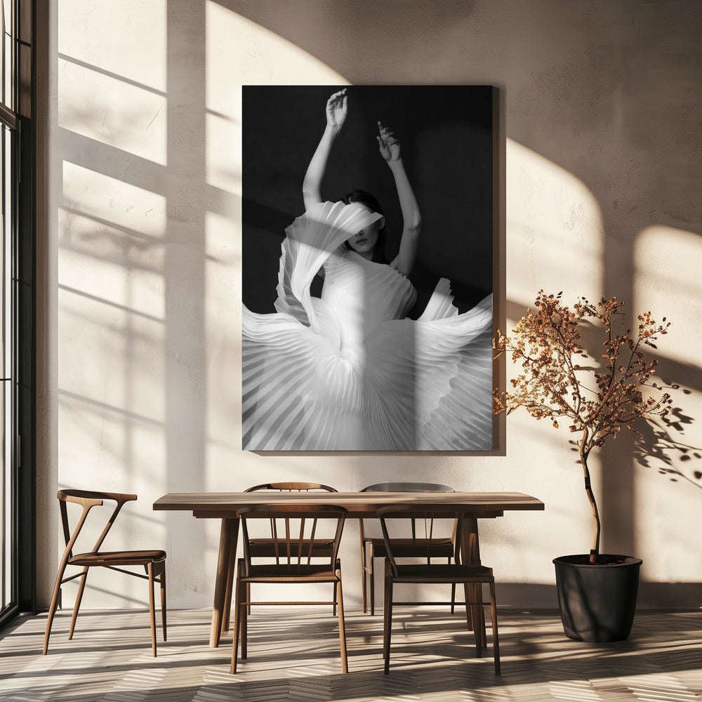 Amadeus | Canvas