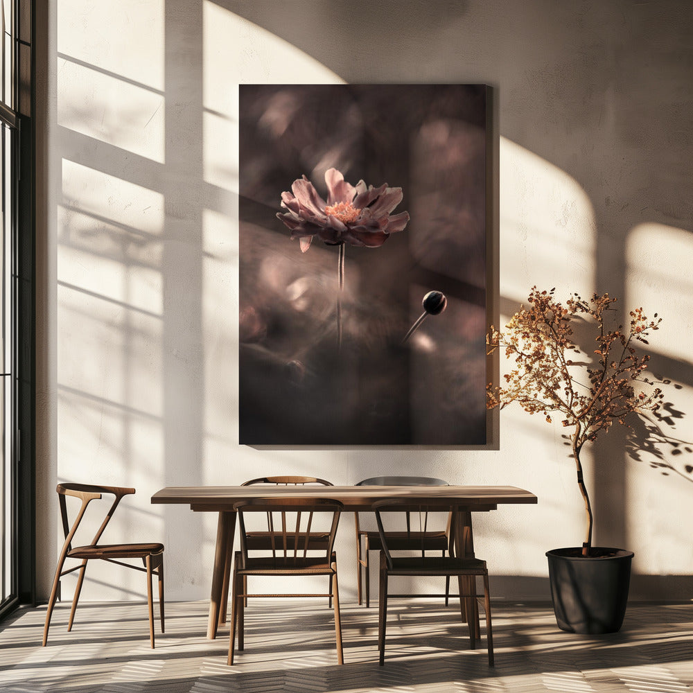 Un prÃ©sent et un futur rÃ©volus. Un passÃ© prÃ©sent | Canvas