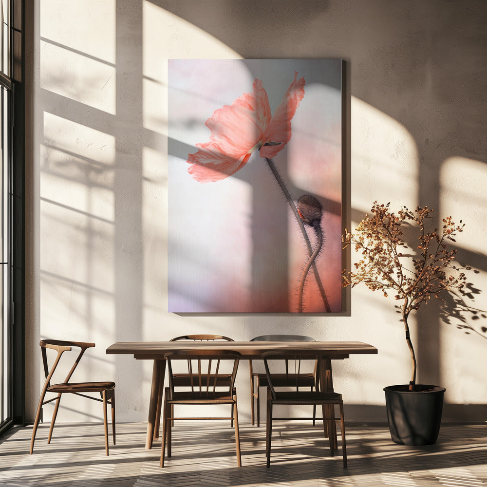 Tenderness | Canvas