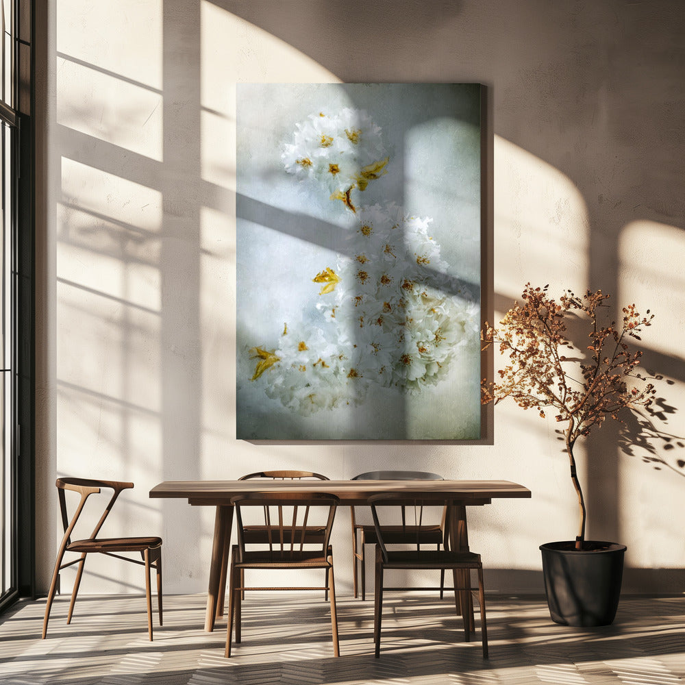 Cherry blossoms | Canvas