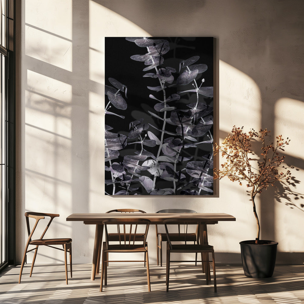 Eucalyptus_Negative_002 | Canvas