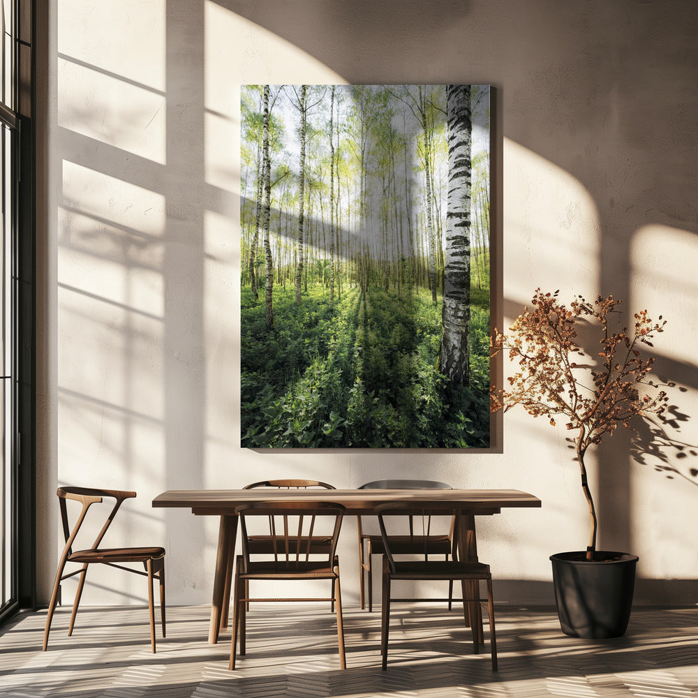Birch Grove vertical | Canvas