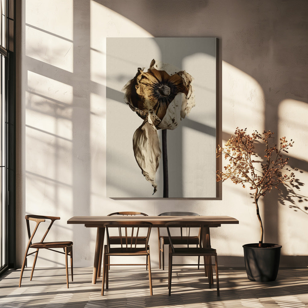 Fading Elegance | Canvas