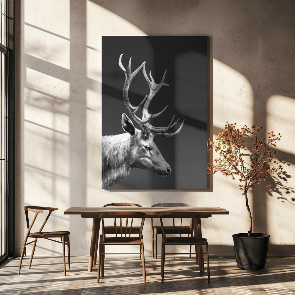 Reindeer | Canvas
