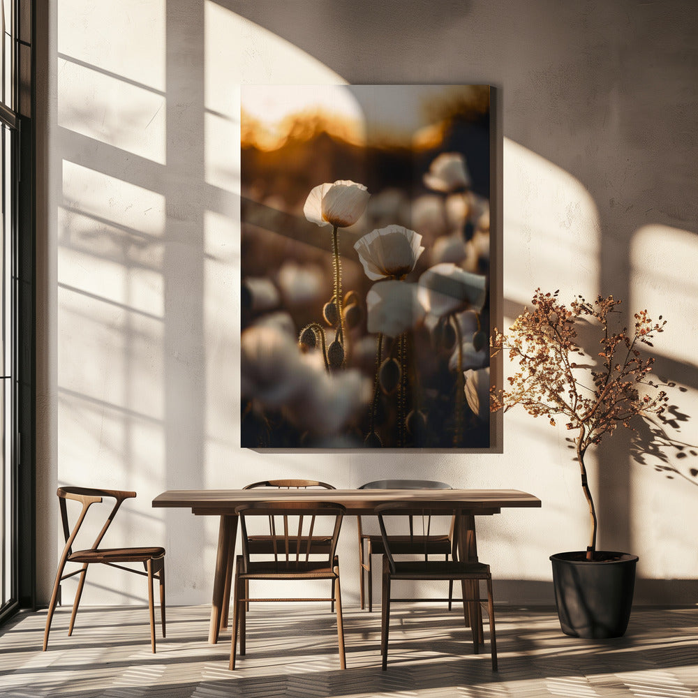 Golden Blooming Dawn | Canvas