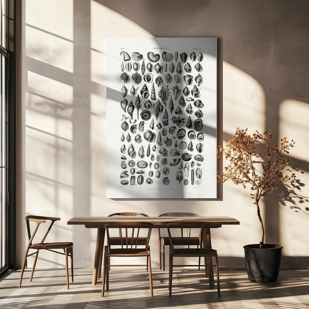 Sealife III | Canvas
