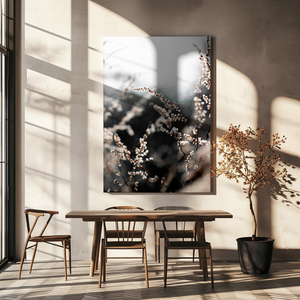 Unknown 10 | Canvas