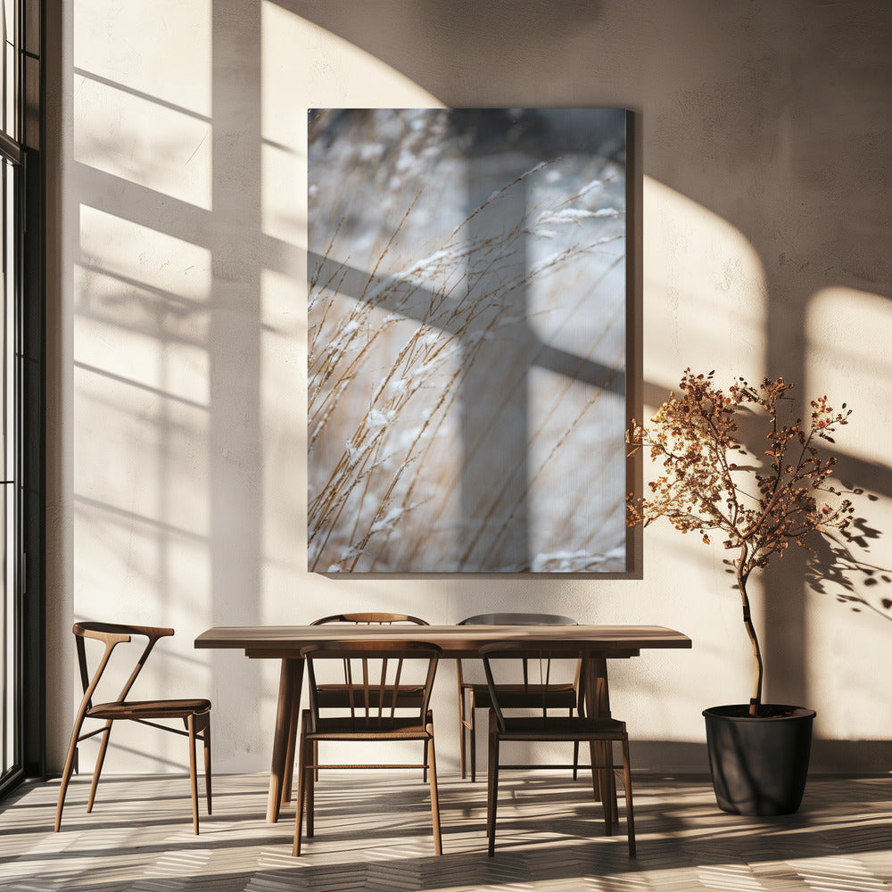 Winter Grass | Canvas