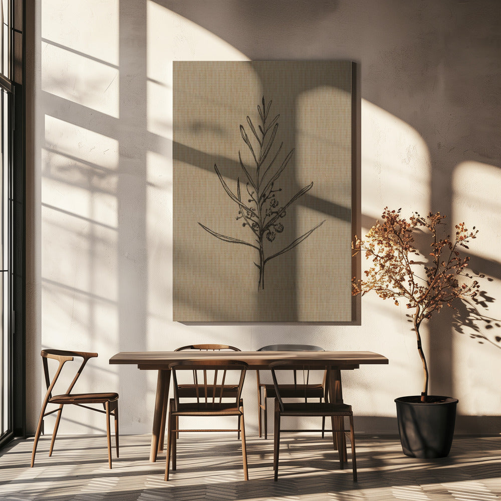 Blackwood Sapling | Canvas