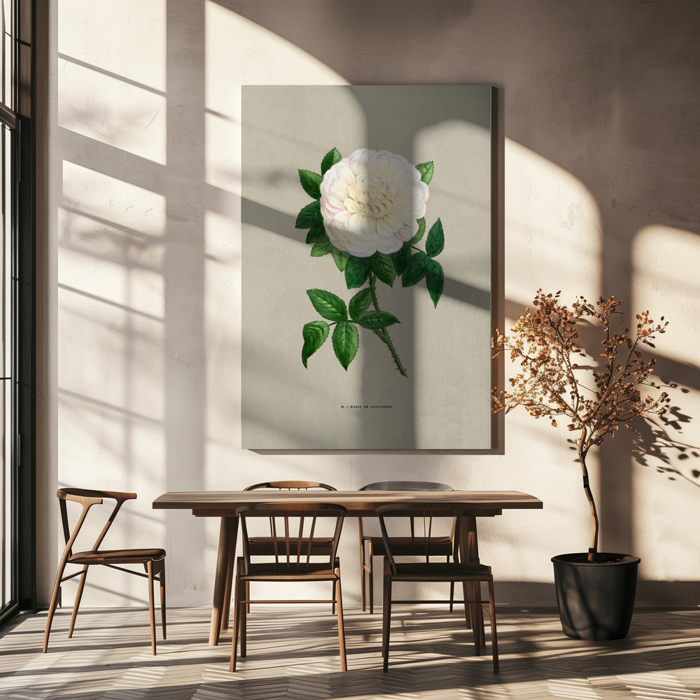 Rose Marie De Saint Jean | Canvas