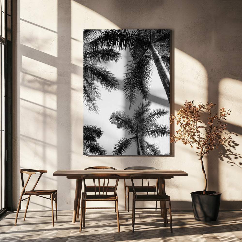 Black And White Palm Tree | Canvas