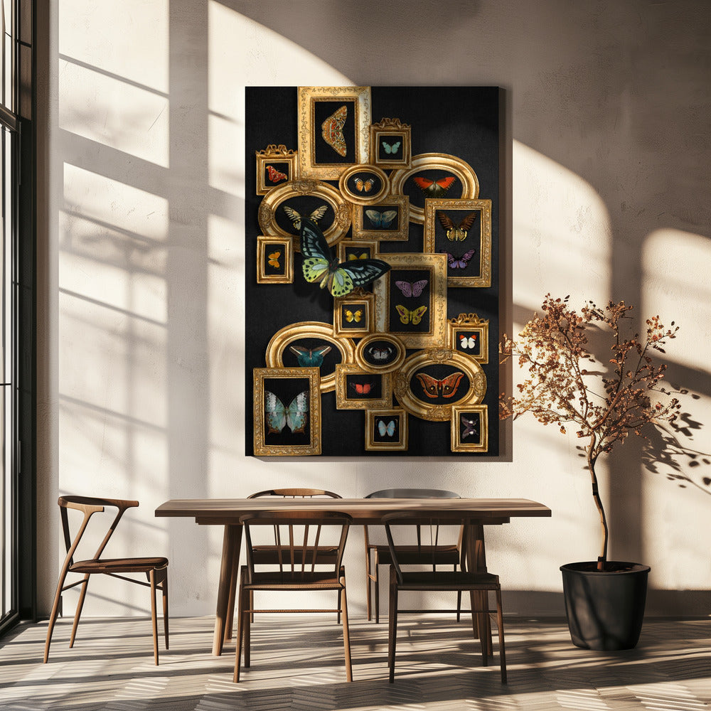 A Collection Of Butterflies | Canvas