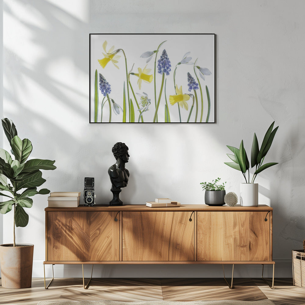 Spring | Poster