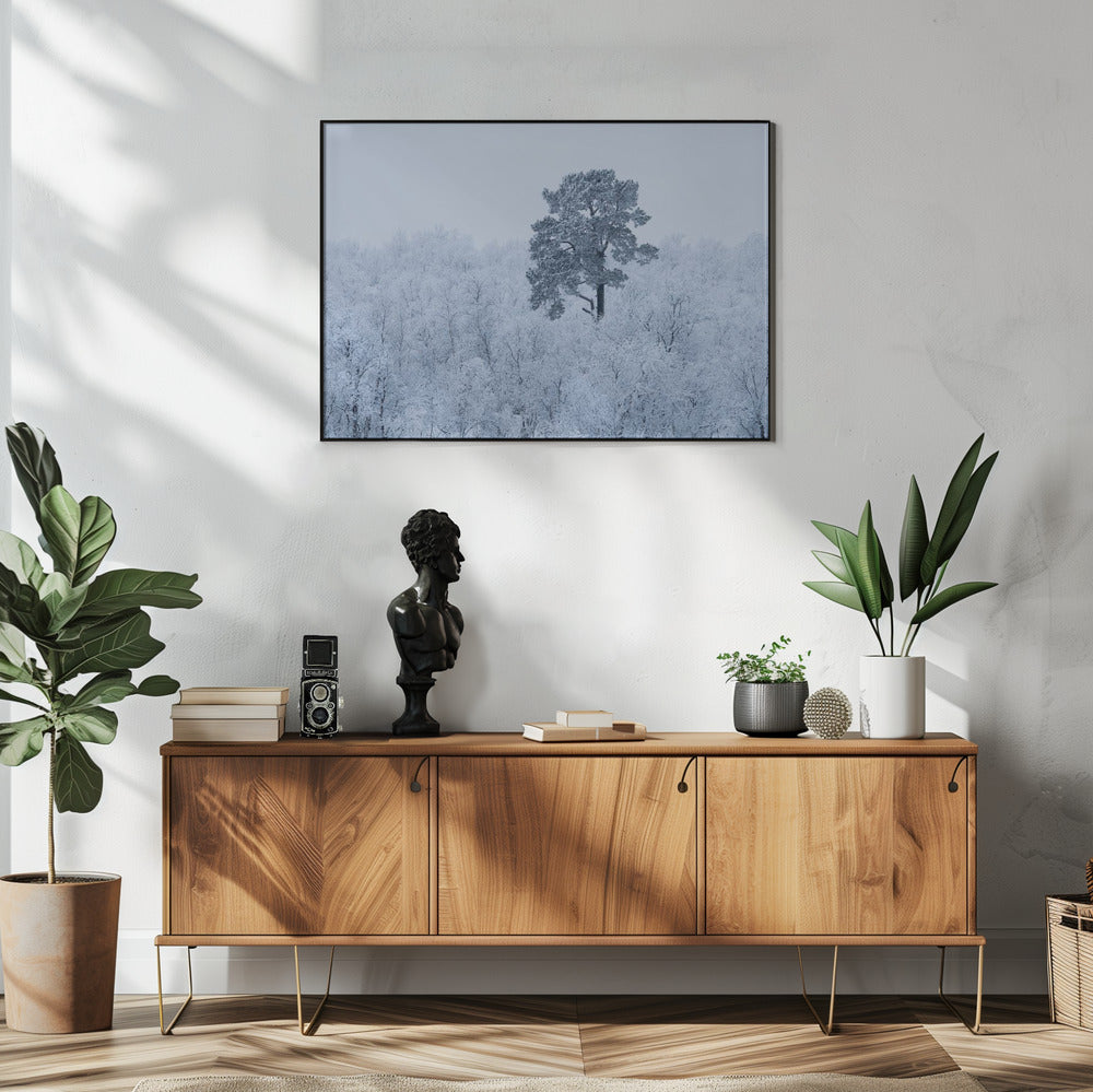 First snow | Poster