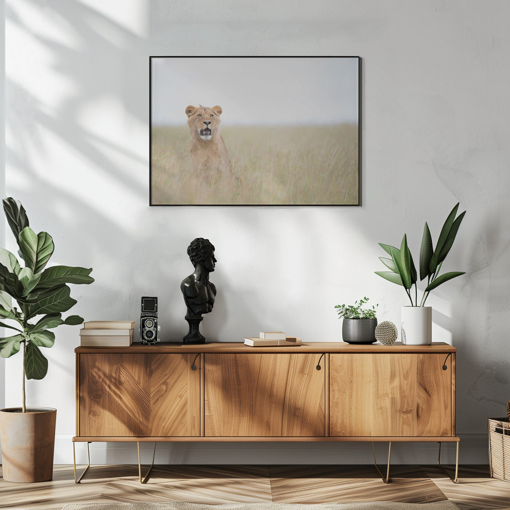 Young Lion | Poster