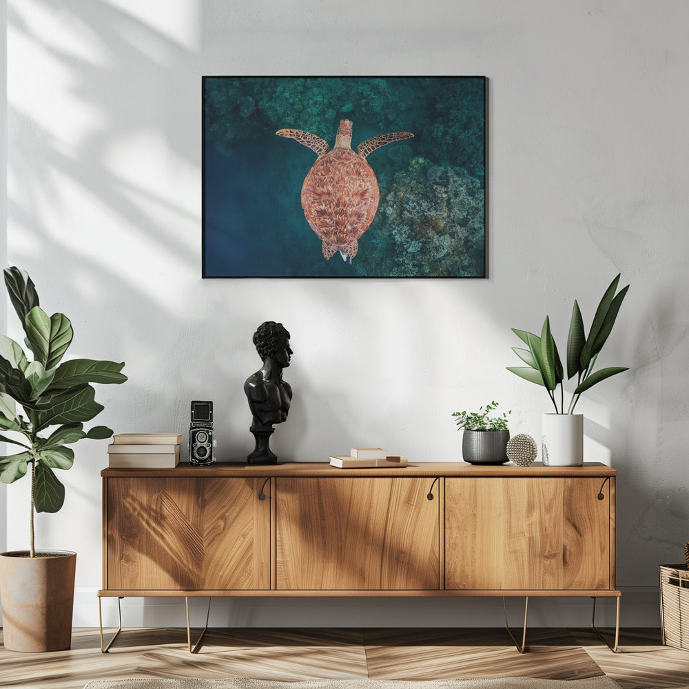 Flying over the reef | Poster