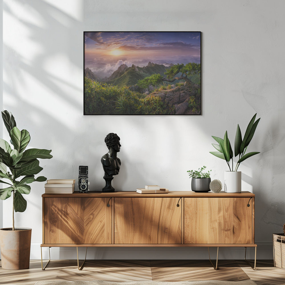 Pine tree on the rock | Poster