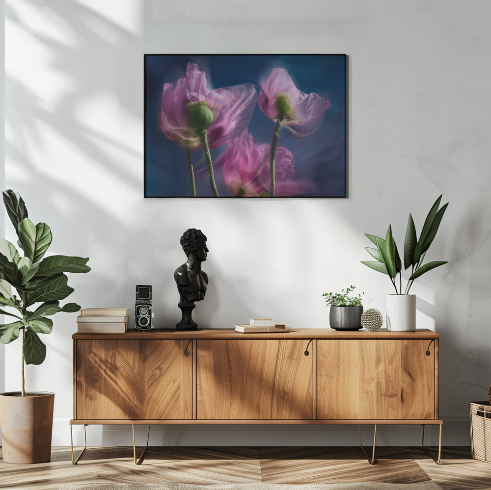 Poppies by the wayside | Poster