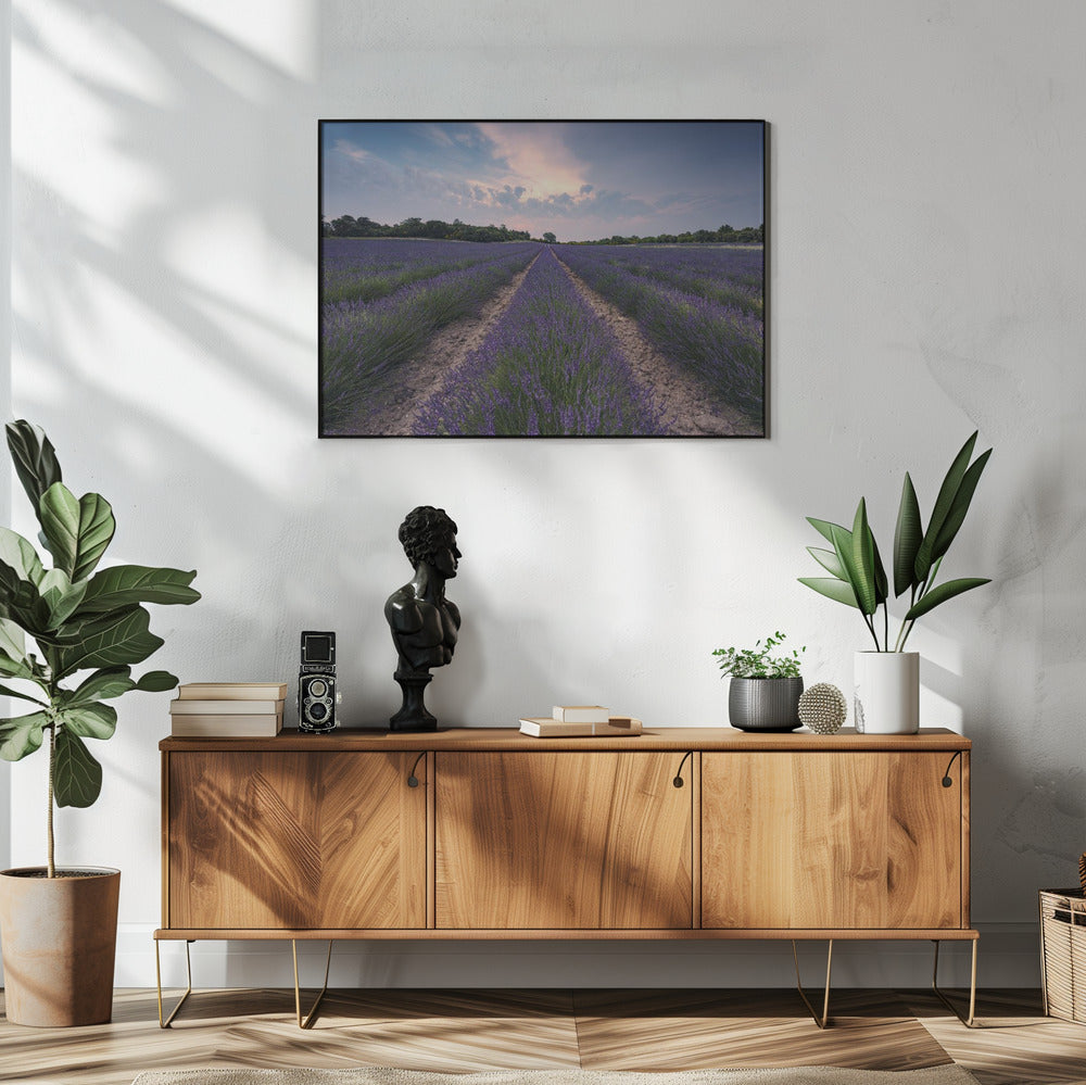 Blue Lavender | Poster