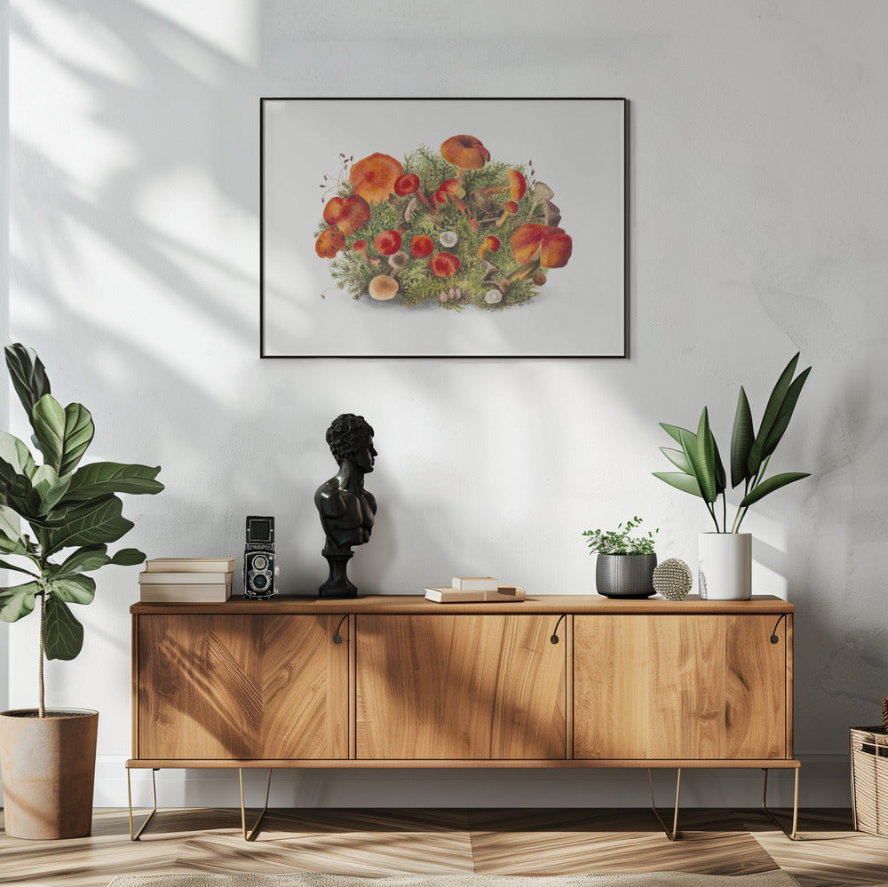 Study of Mushrooms (1880) Horizontal | Poster