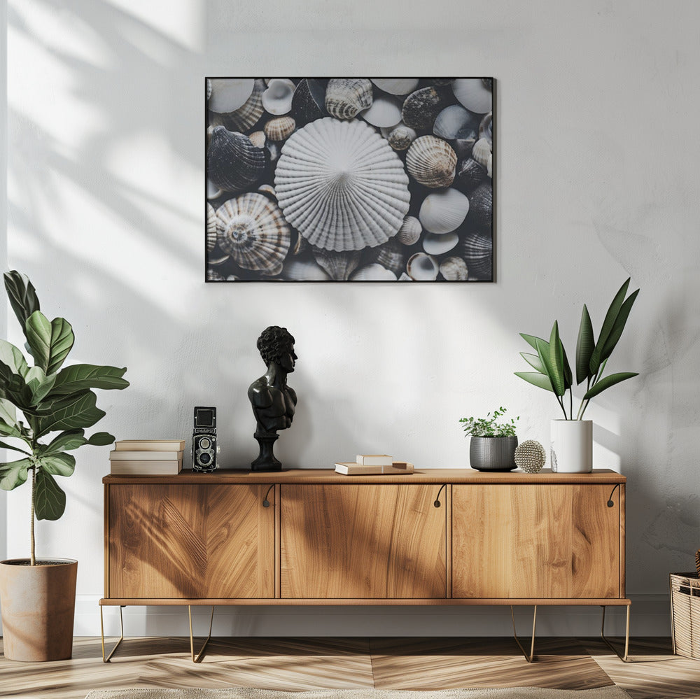 Shell Symphony | Poster