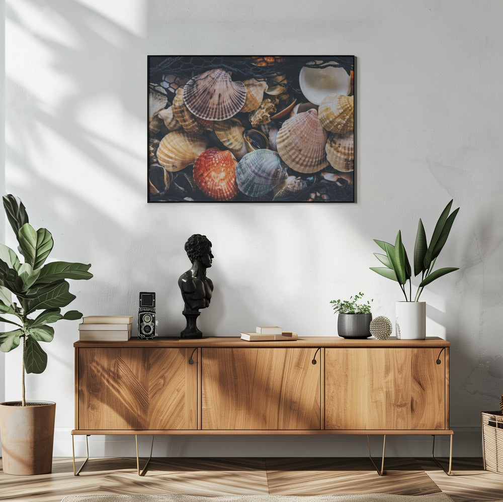 Shell Symphony | Poster