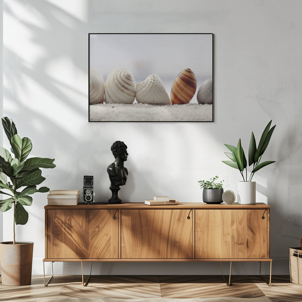 Seashell Symphony | Poster