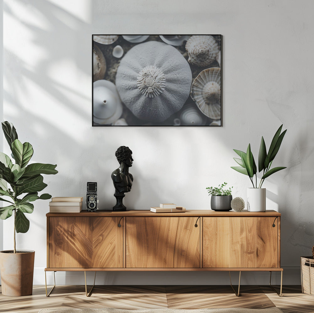 Seashell Symphony | Poster