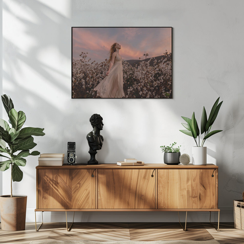 Sunset in the cotton field | Poster