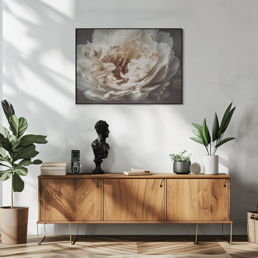 Petals of Serenity | Poster