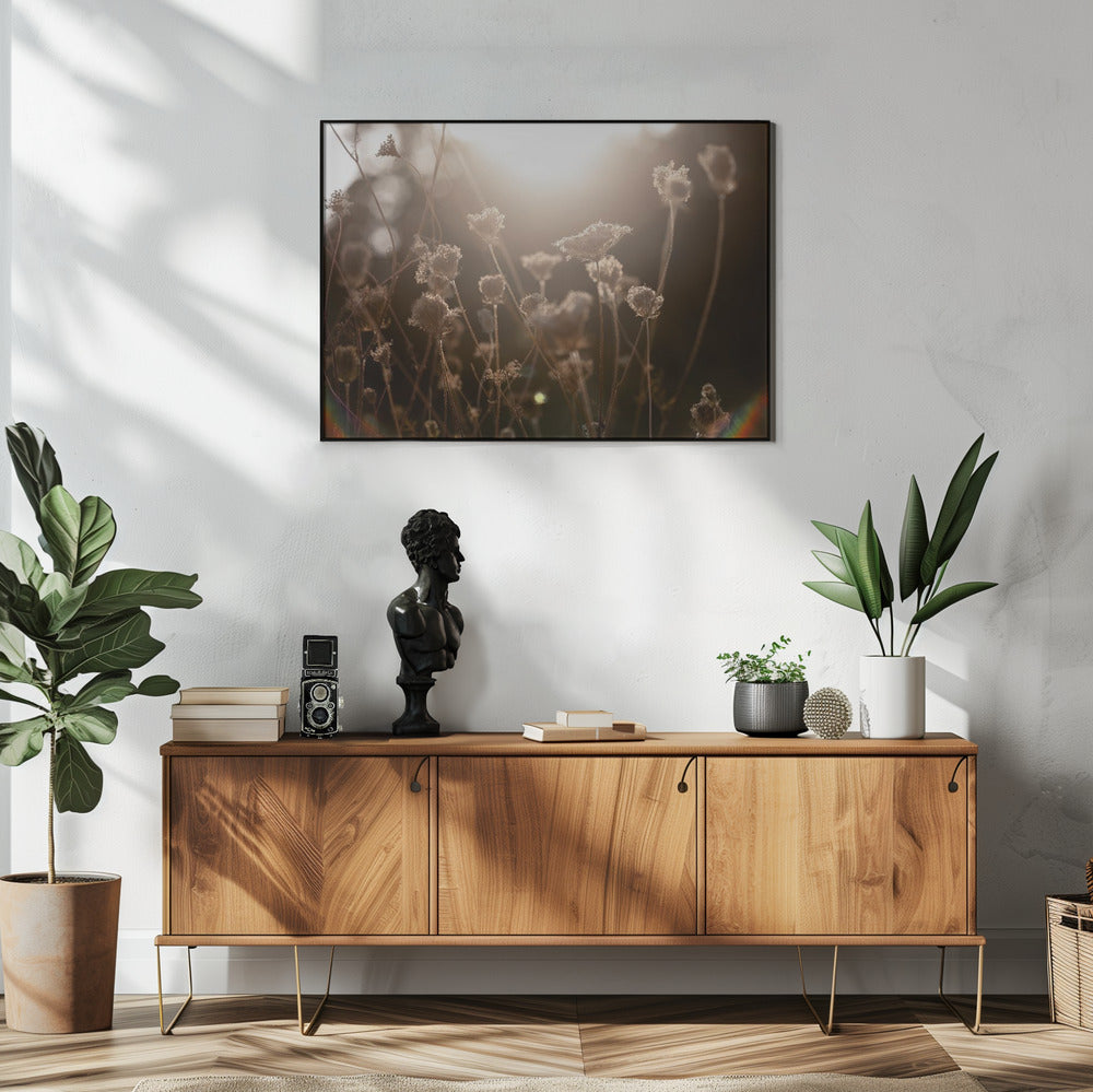 Warm Winter Light 3 | Poster