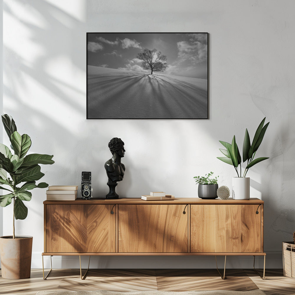 Tree Shadow | Poster