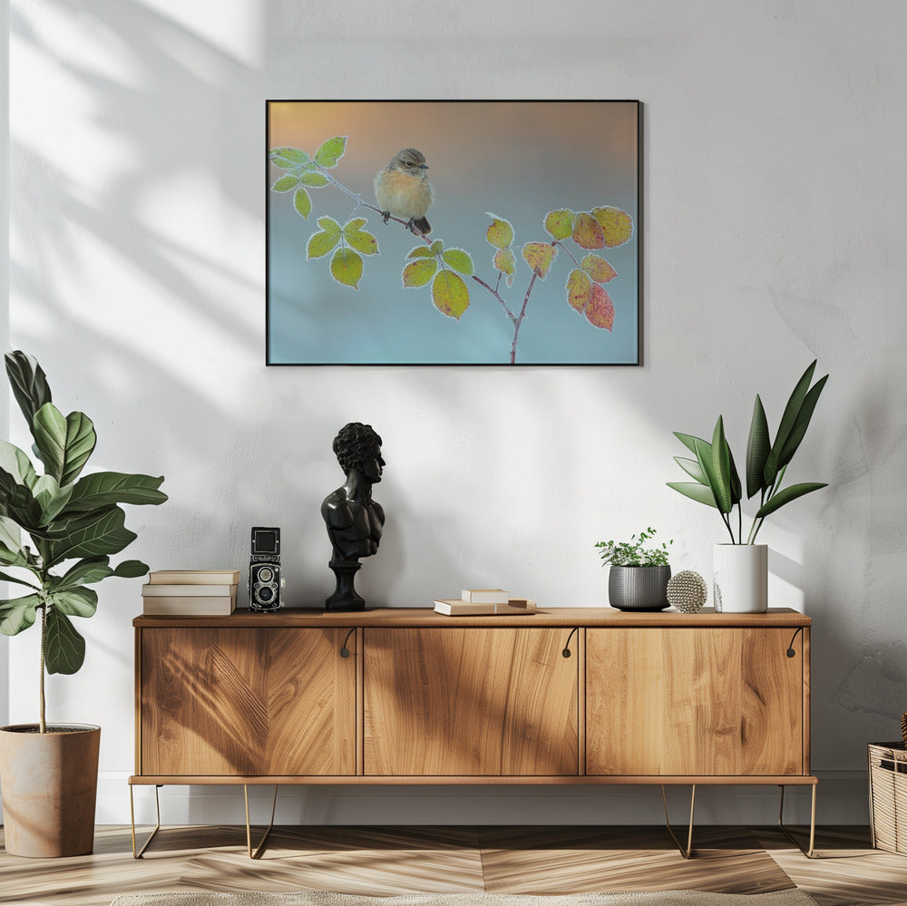 Winter colors | Poster