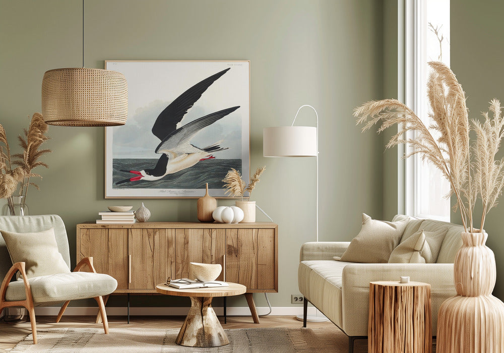 Black Skimmer From Birds of America (1827) | Canvas