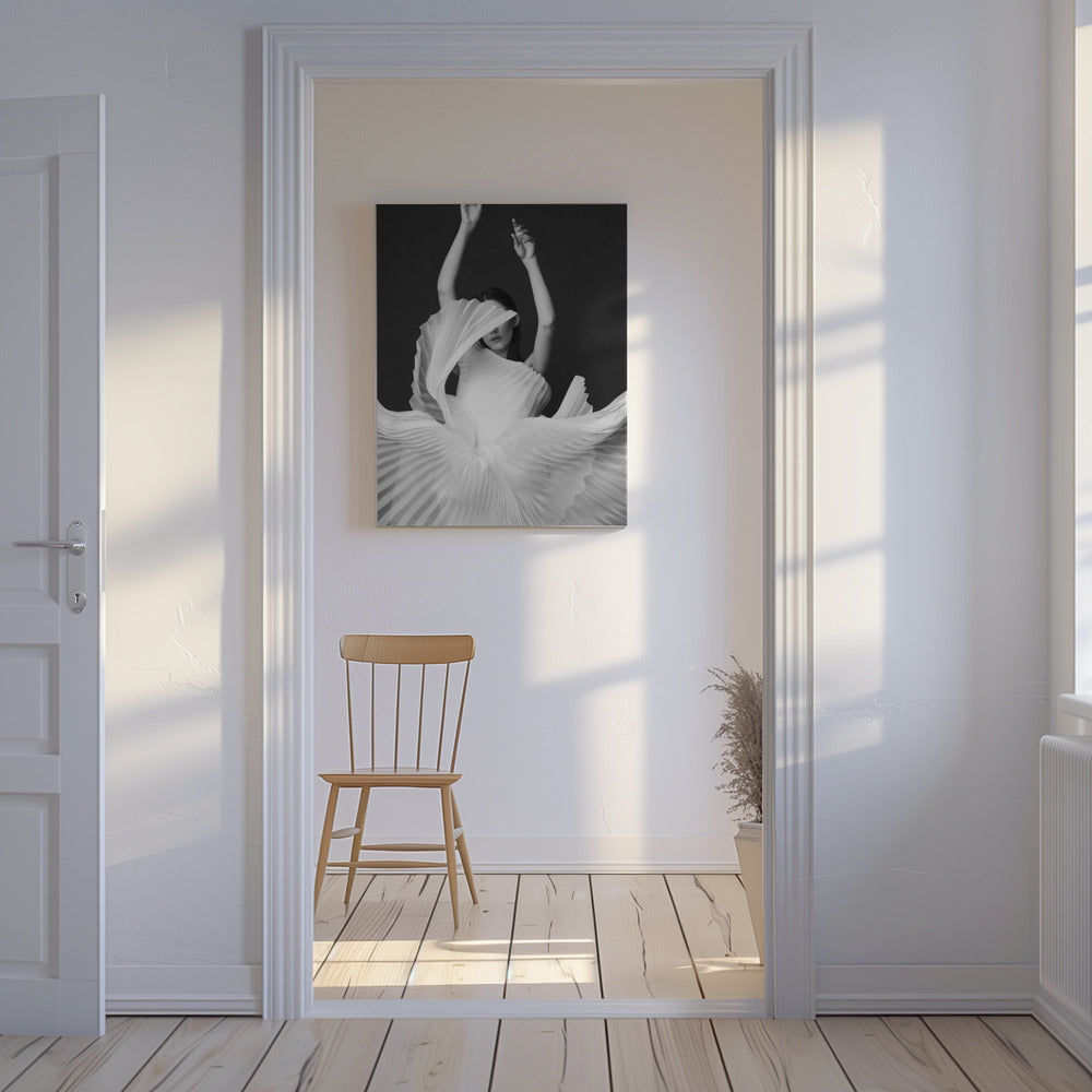 Amadeus | Canvas