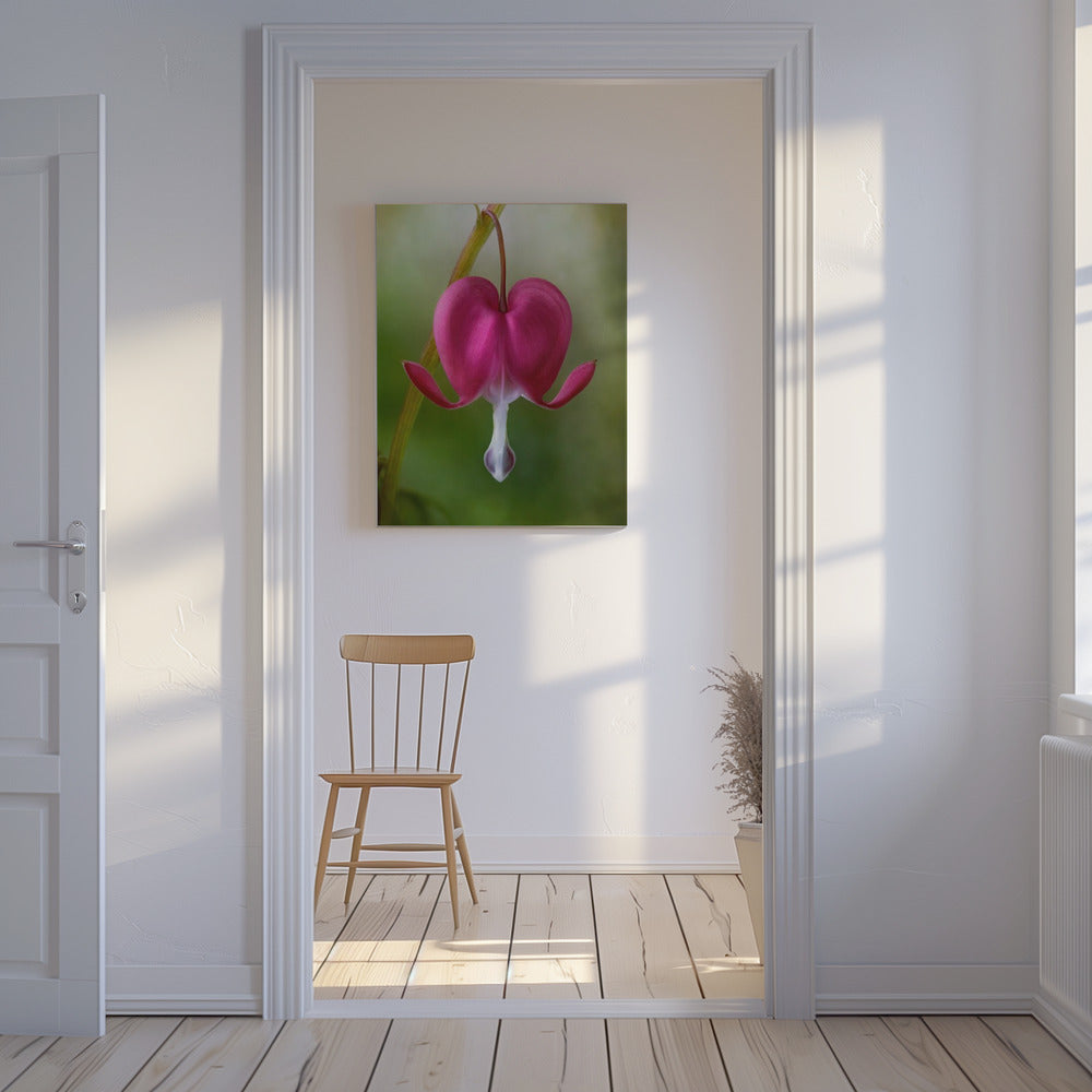 Bleeding Heart | Canvas