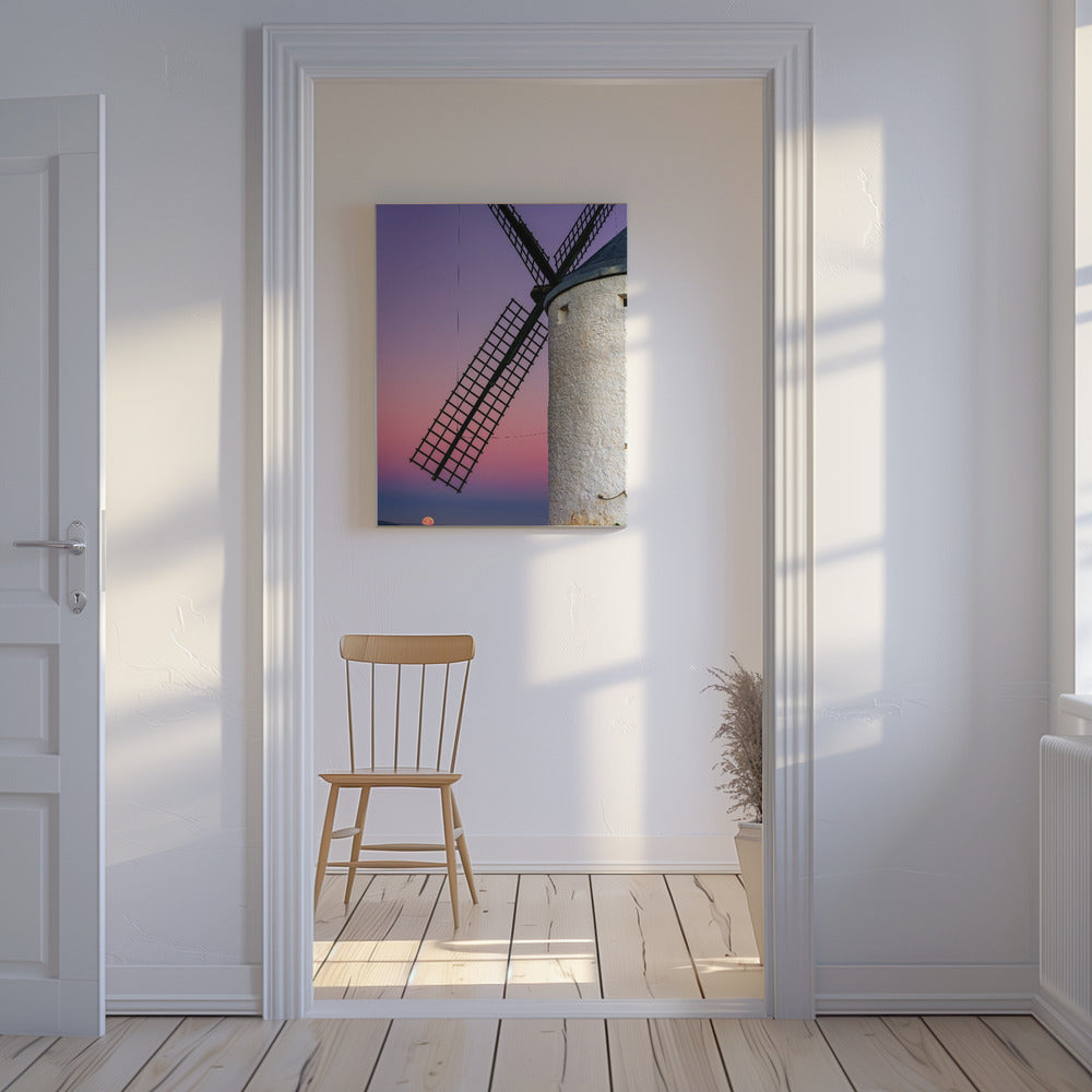 DON QUIXOTE'S DREAM | Canvas