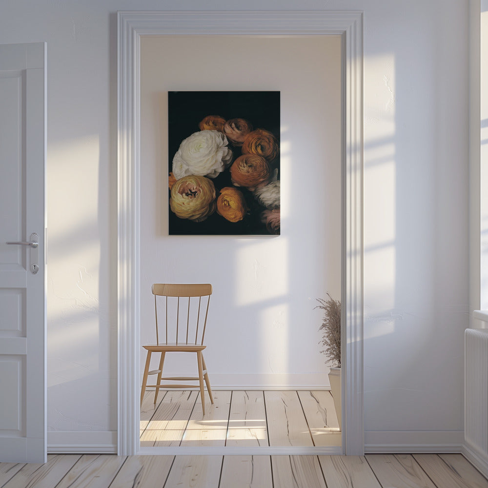 Ranunculus | Canvas