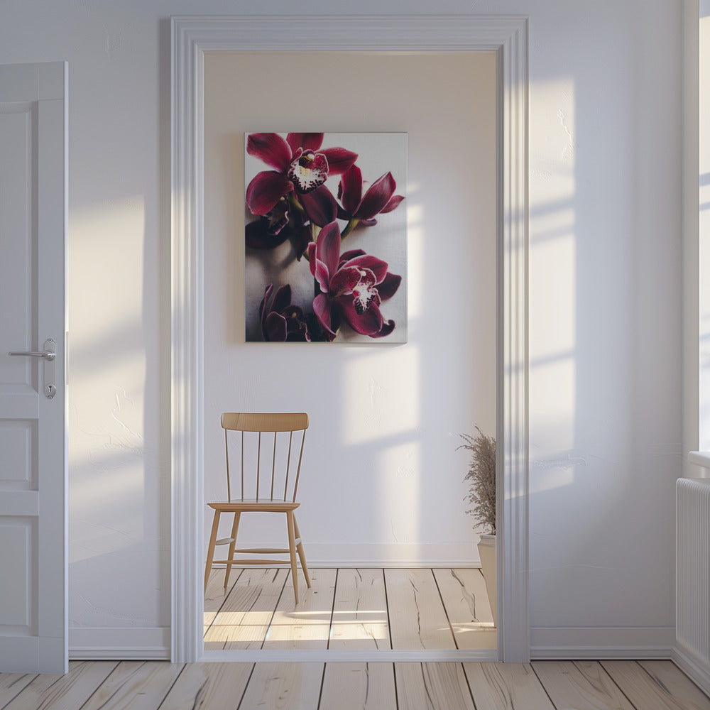 Orchid Elegance | Canvas