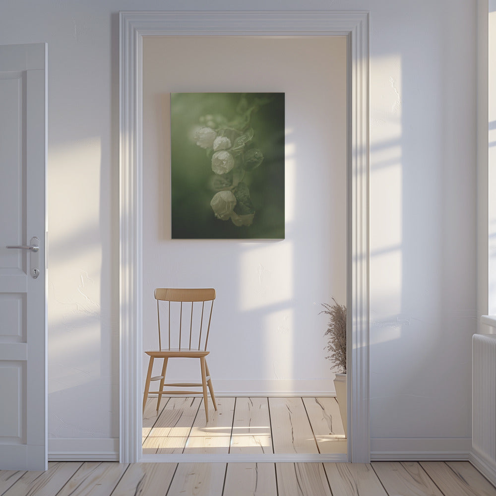 Jasmine | Canvas
