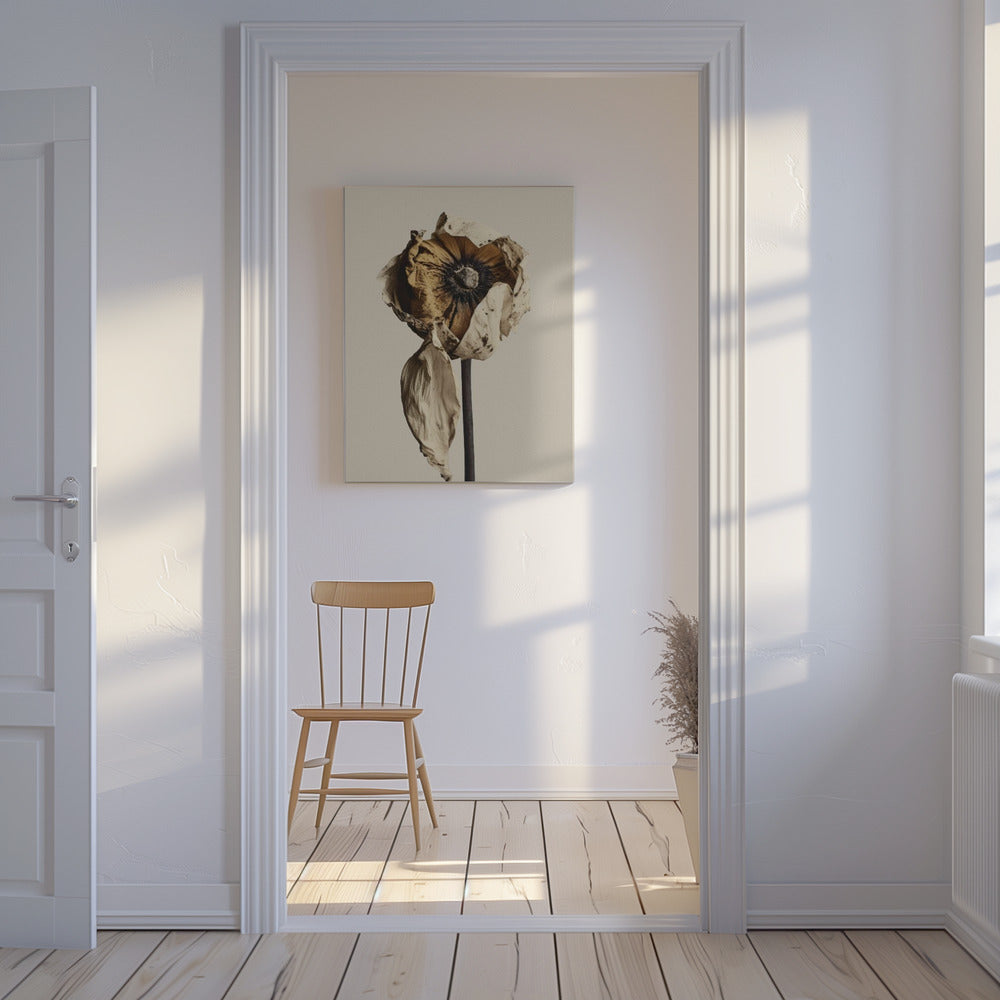 Fading Elegance | Canvas