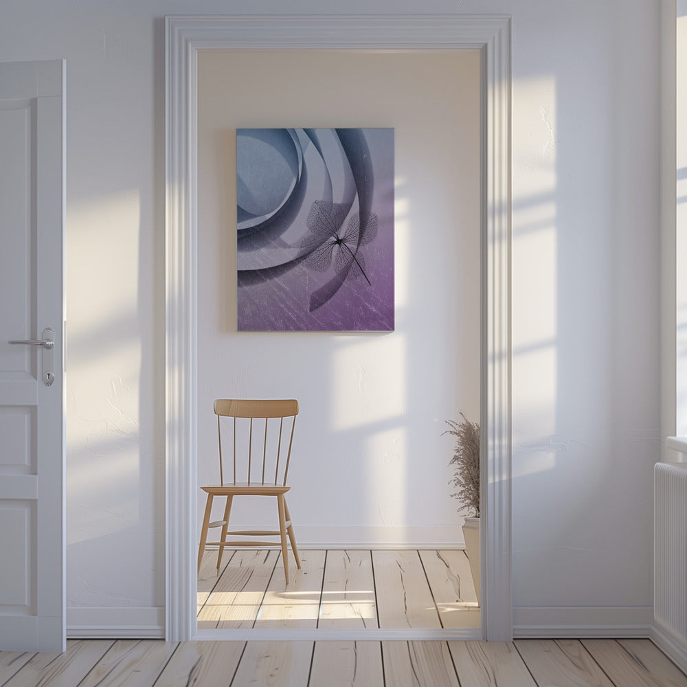 Hydrangea | Canvas
